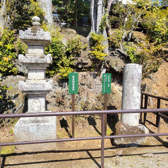 f:id:atoriatoriatori:20240325211642j:image