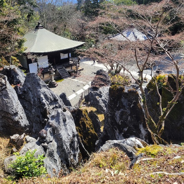 f:id:atoriatoriatori:20240325212221j:image