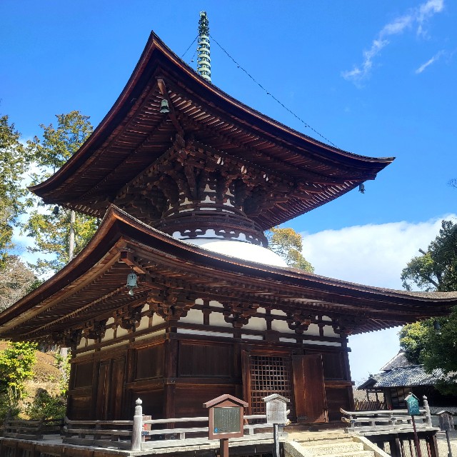 f:id:atoriatoriatori:20240326095129j:image