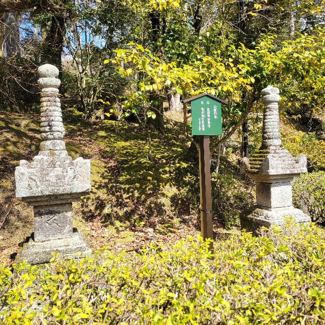 f:id:atoriatoriatori:20240326095628j:image