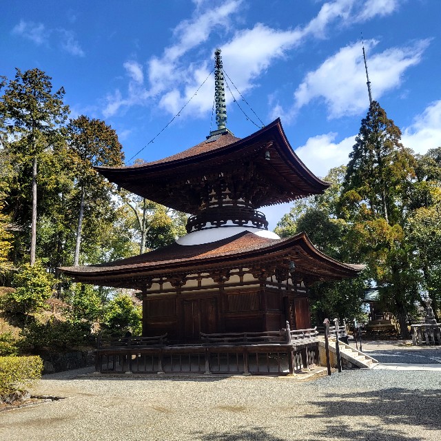 f:id:atoriatoriatori:20240326100036j:image