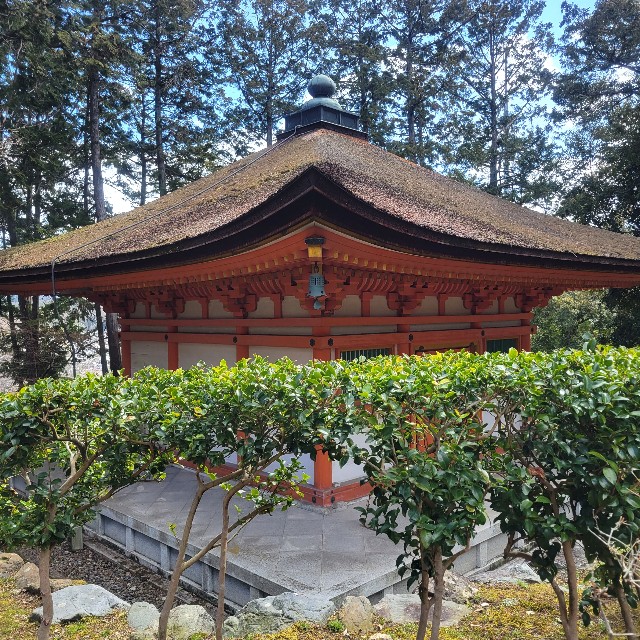 f:id:atoriatoriatori:20240326102704j:image