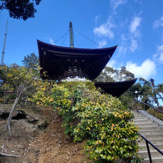 f:id:atoriatoriatori:20240326105018j:image