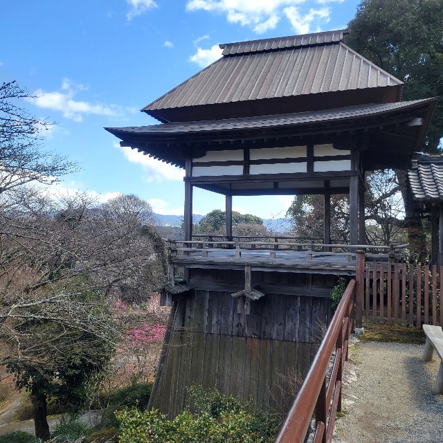 f:id:atoriatoriatori:20240326105638j:image