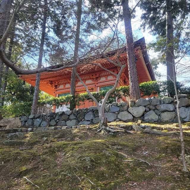 f:id:atoriatoriatori:20240326105654j:image