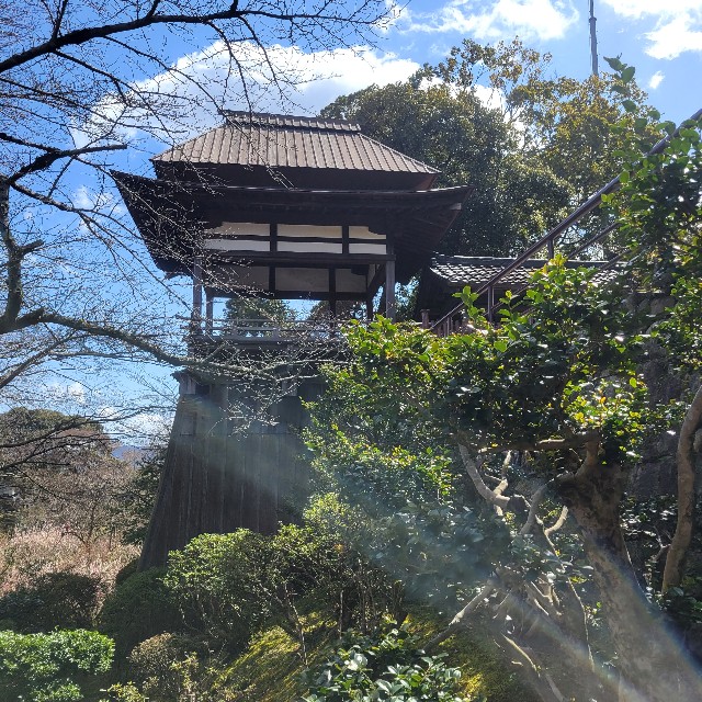 f:id:atoriatoriatori:20240326110321j:image