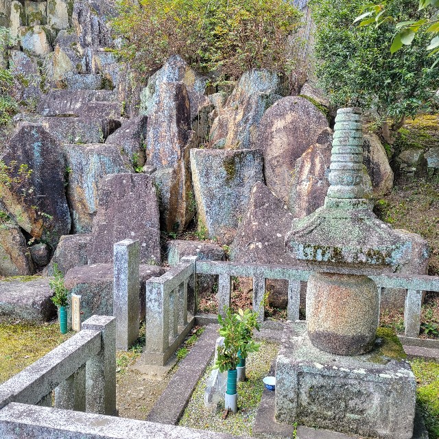 f:id:atoriatoriatori:20240326110426j:image