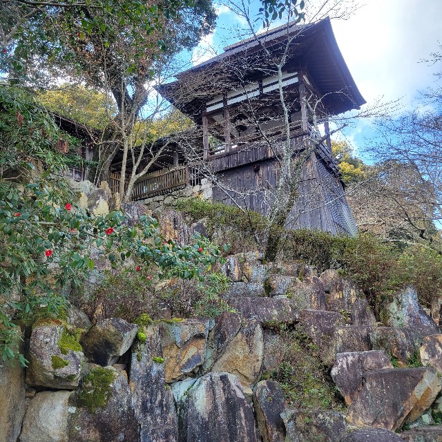 f:id:atoriatoriatori:20240326110442j:image