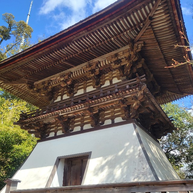 f:id:atoriatoriatori:20240326110753j:image