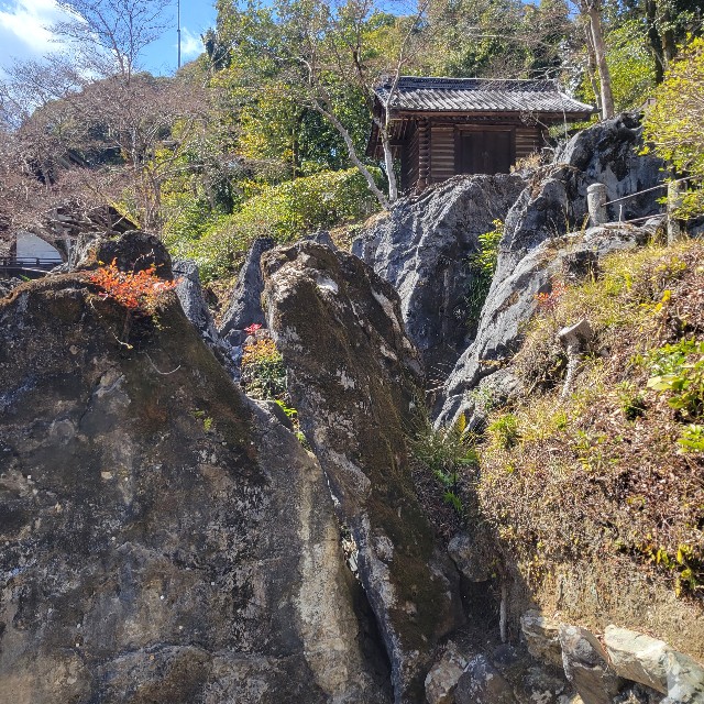 f:id:atoriatoriatori:20240326110825j:image