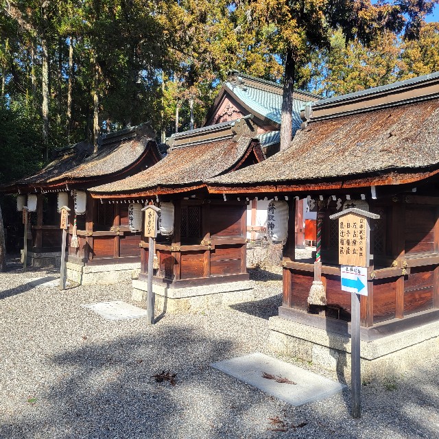 f:id:atoriatoriatori:20240329191817j:image f:id:atoriatoriatori:20240329191817j:image