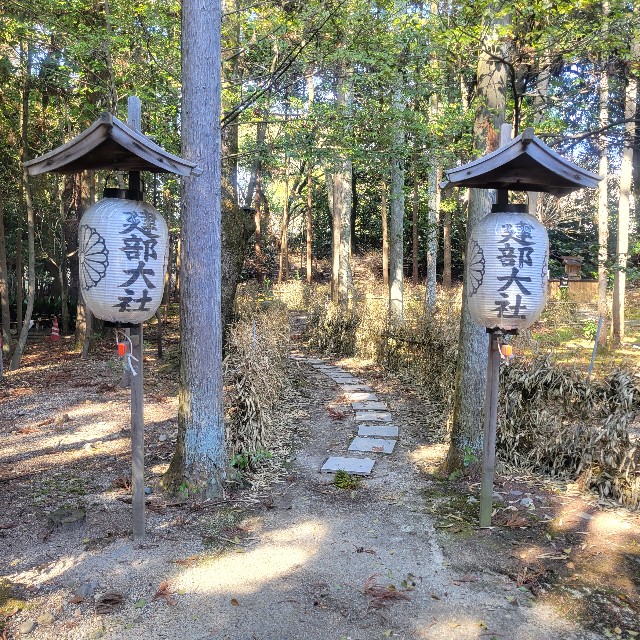 f:id:atoriatoriatori:20240329204126j:image f:id:atoriatoriatori:20240329204126j:image