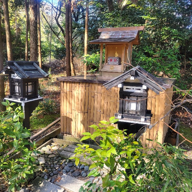 f:id:atoriatoriatori:20240329204146j:image f:id:atoriatoriatori:20240329204146j:image