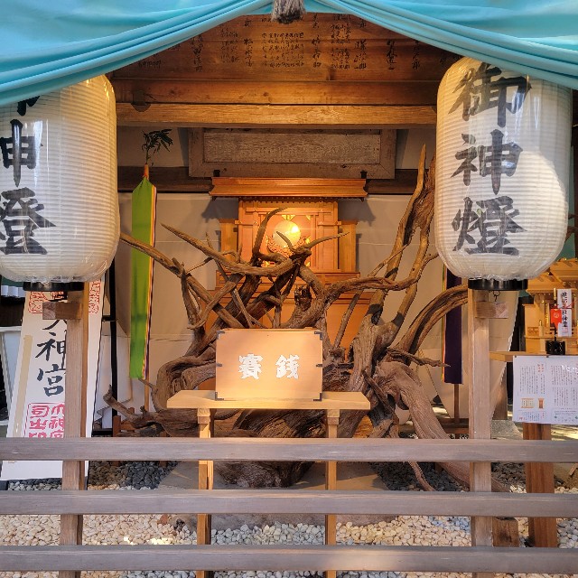 f:id:atoriatoriatori:20240329211910j:image f:id:atoriatoriatori:20240329211910j:image