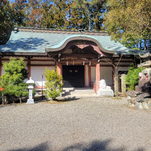 f:id:atoriatoriatori:20240329212105j:image f:id:atoriatoriatori:20240329212105j:image