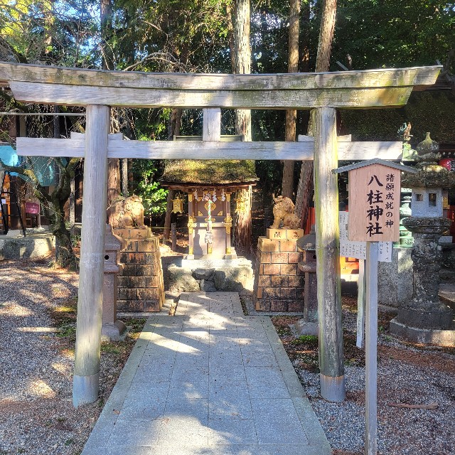 f:id:atoriatoriatori:20240329212119j:image f:id:atoriatoriatori:20240329212119j:image