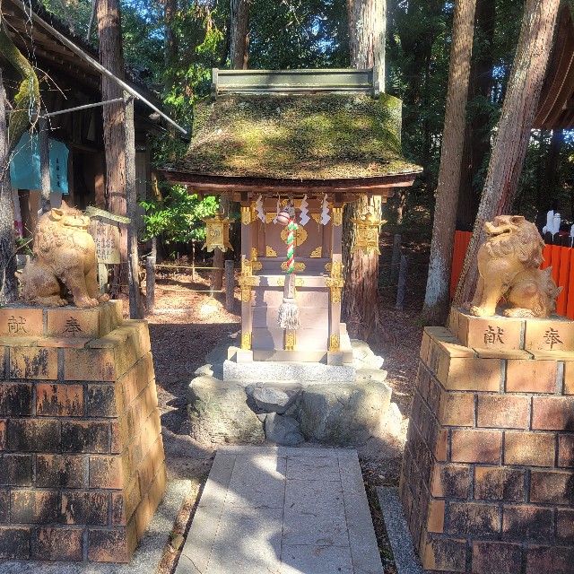 f:id:atoriatoriatori:20240329212129j:image f:id:atoriatoriatori:20240329212129j:image