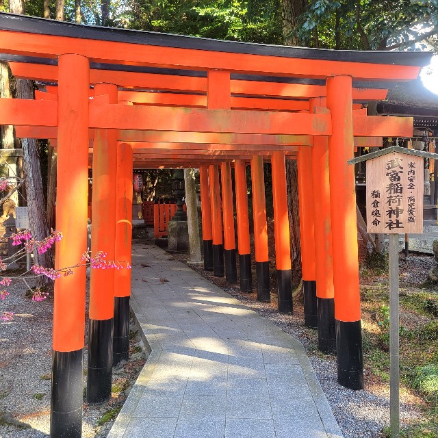 f:id:atoriatoriatori:20240329212334j:image f:id:atoriatoriatori:20240329212334j:image
