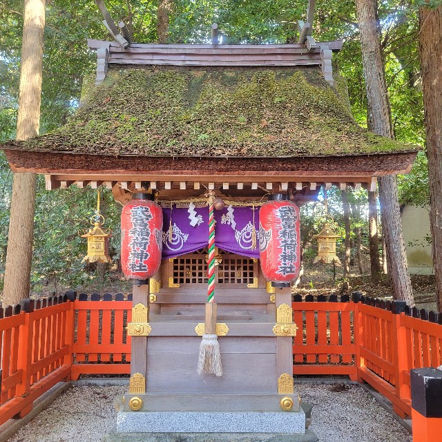 f:id:atoriatoriatori:20240329212342j:image f:id:atoriatoriatori:20240329212342j:image