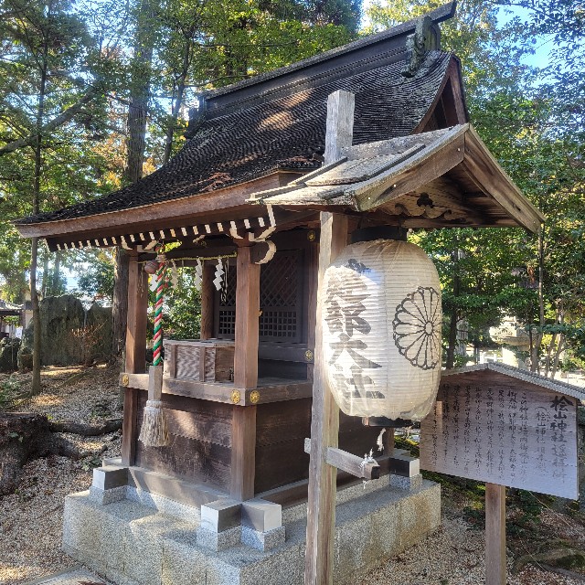 f:id:atoriatoriatori:20240330084312j:image f:id:atoriatoriatori:20240330084312j:image
