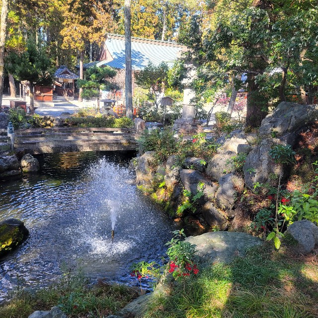 f:id:atoriatoriatori:20240330085007j:image f:id:atoriatoriatori:20240330085007j:image
