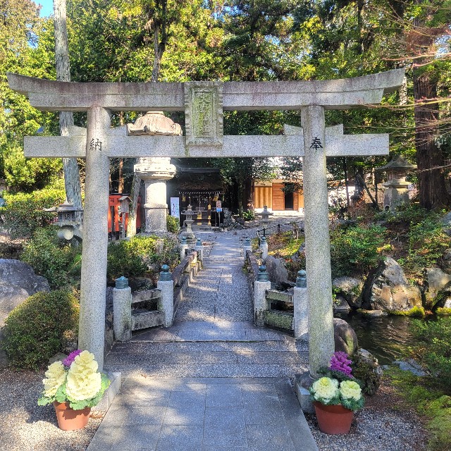 f:id:atoriatoriatori:20240330085035j:image f:id:atoriatoriatori:20240330085035j:image