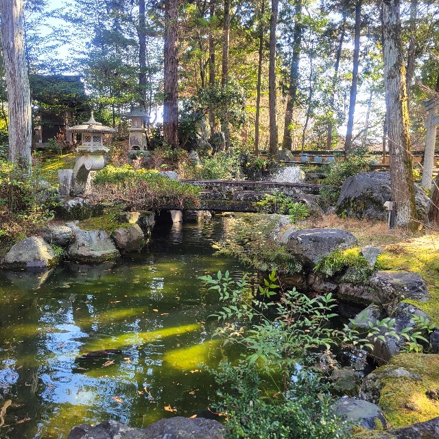 f:id:atoriatoriatori:20240330085455j:image f:id:atoriatoriatori:20240330085455j:image
