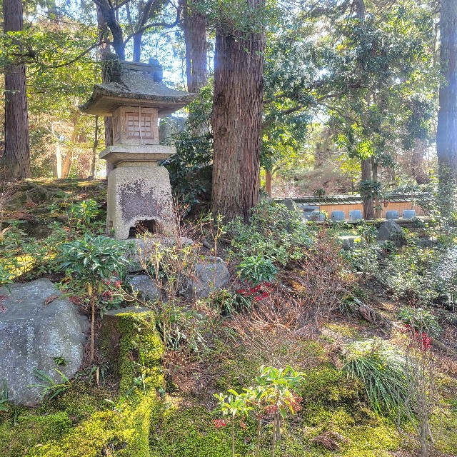 f:id:atoriatoriatori:20240330092737j:image f:id:atoriatoriatori:20240330092737j:image