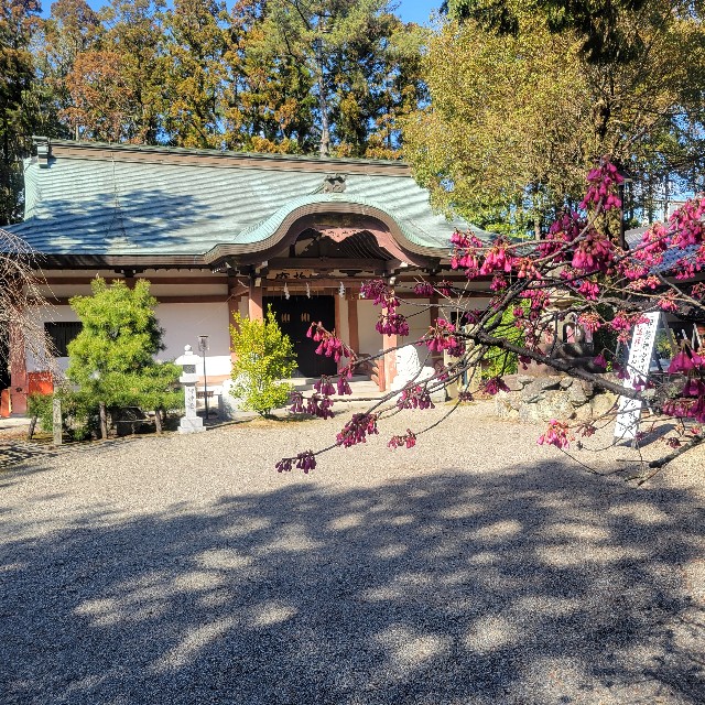 f:id:atoriatoriatori:20240330092814j:image f:id:atoriatoriatori:20240330092814j:image