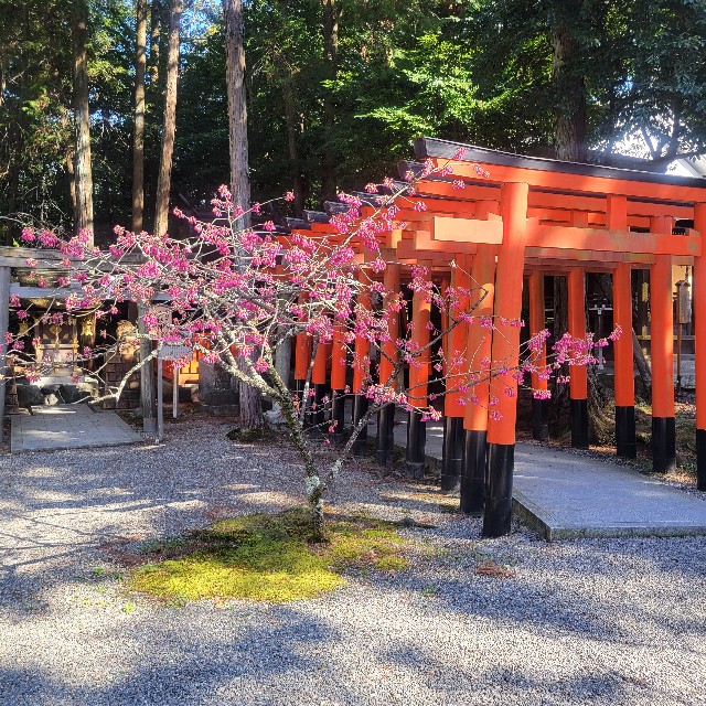 f:id:atoriatoriatori:20240330125929j:image f:id:atoriatoriatori:20240330125929j:image