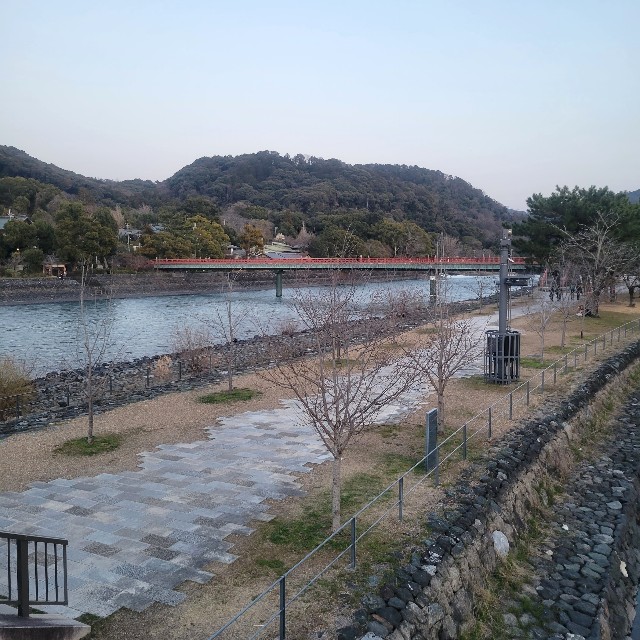 f:id:atoriatoriatori:20240401174959j:image