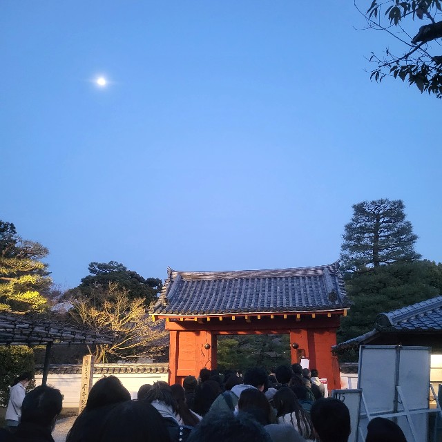 f:id:atoriatoriatori:20240401184428j:image