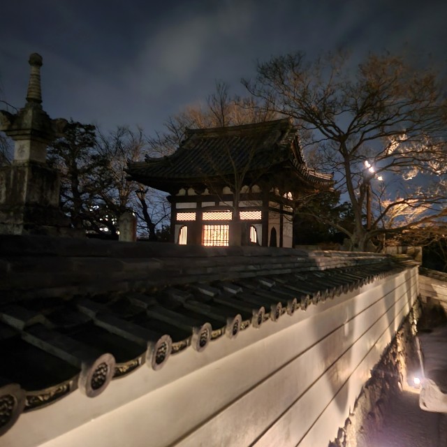 f:id:atoriatoriatori:20240402100333j:image