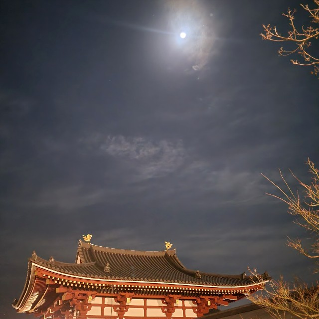 f:id:atoriatoriatori:20240402100401j:image