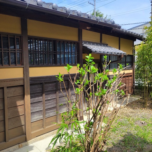 f:id:atoriatoriatori:20240421214235j:image