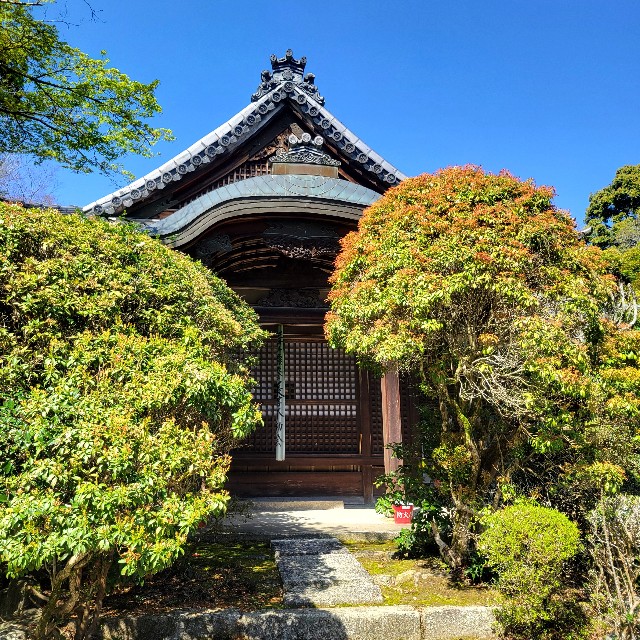 f:id:atoriatoriatori:20240423200759j:image