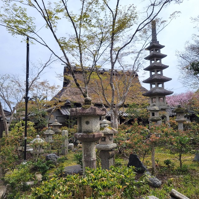 京都】『佐野藤右衛門邸(植藤造園)』に行ってきました。 - あとりの