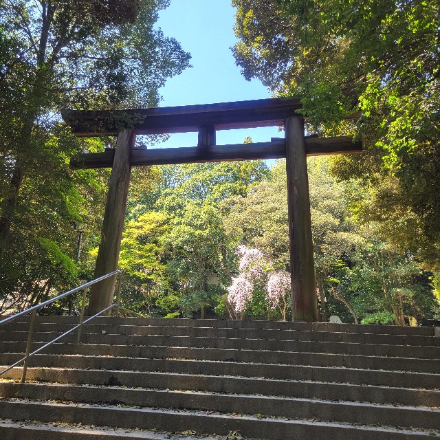 f:id:atoriatoriatori:20240429214730j:image