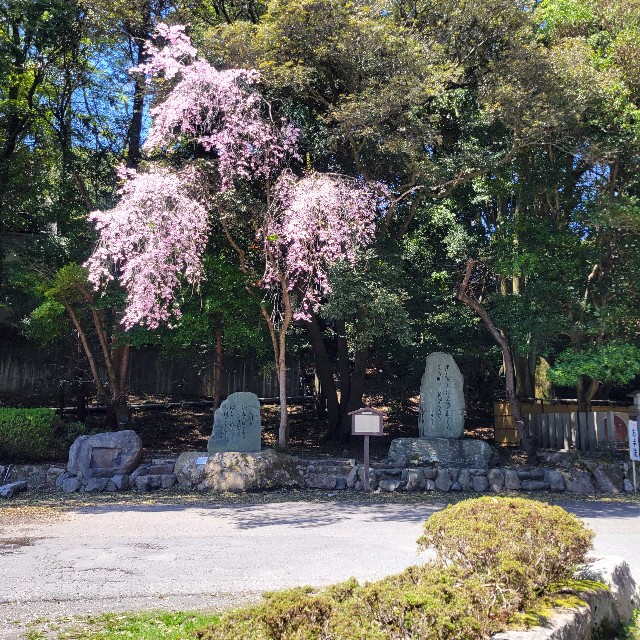 f:id:atoriatoriatori:20240429214752j:image