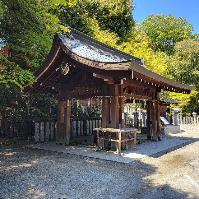f:id:atoriatoriatori:20240429214827j:image