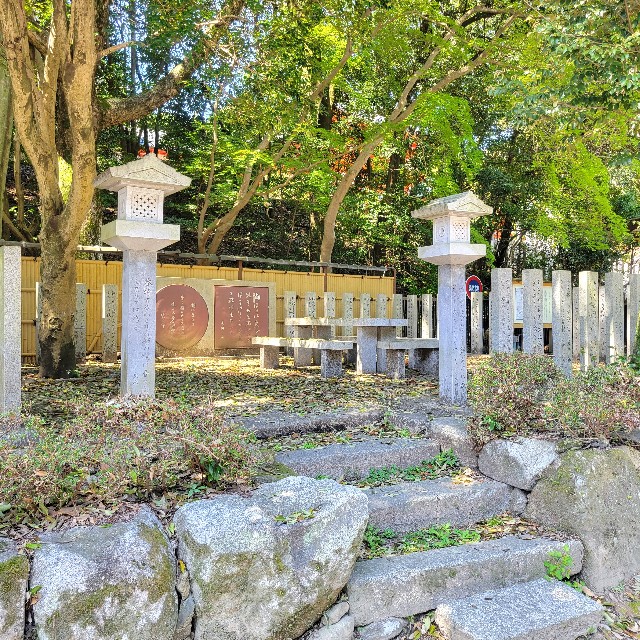 f:id:atoriatoriatori:20240430085031j:image