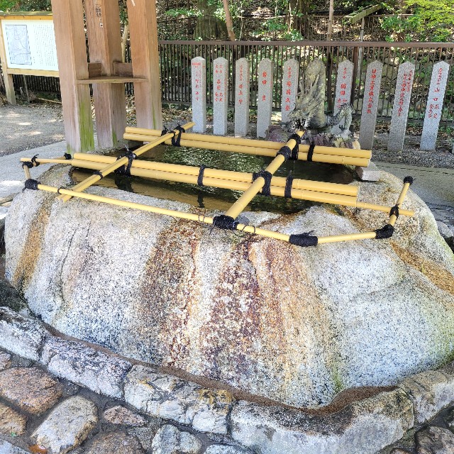 f:id:atoriatoriatori:20240430085112j:image