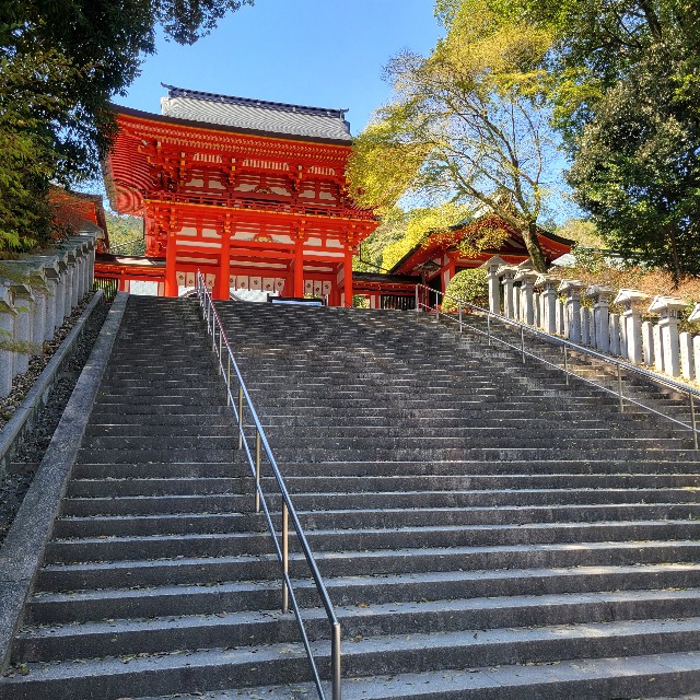 f:id:atoriatoriatori:20240430085509j:image