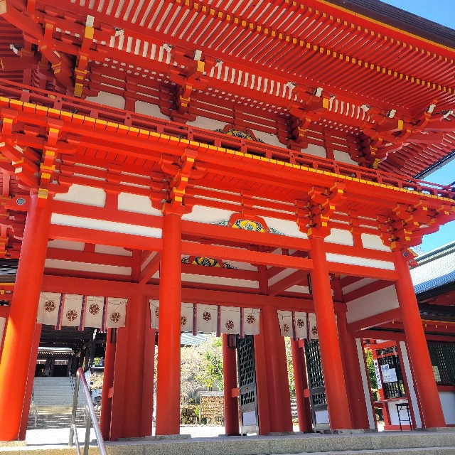 f:id:atoriatoriatori:20240430085523j:image