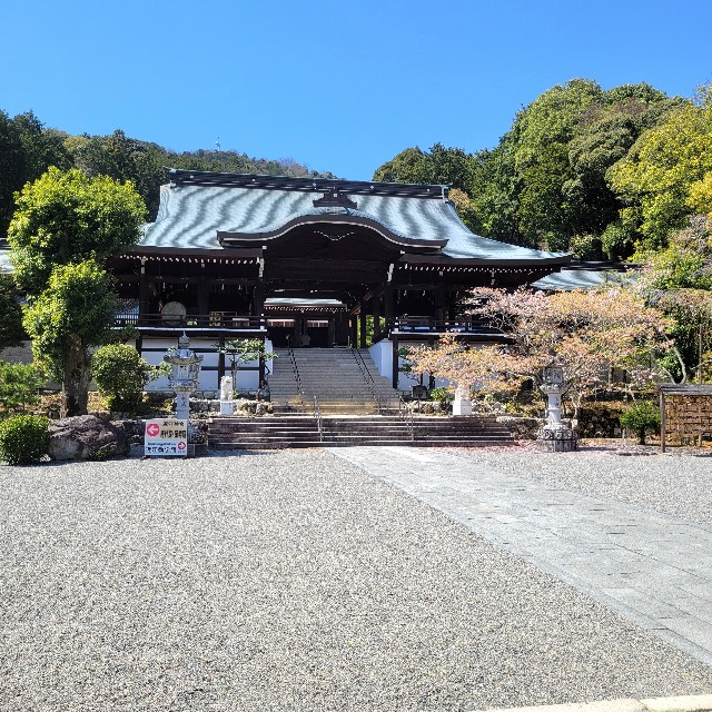 f:id:atoriatoriatori:20240430095428j:image