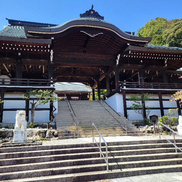 f:id:atoriatoriatori:20240430095439j:image