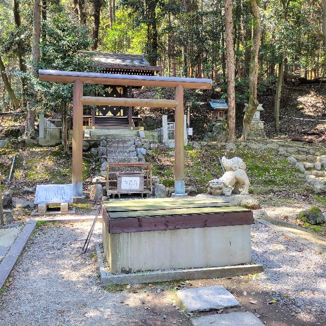 f:id:atoriatoriatori:20240430105808j:image