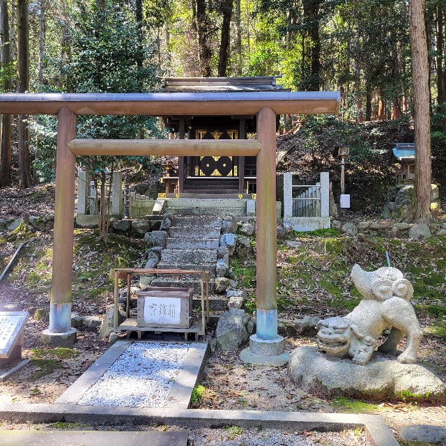 f:id:atoriatoriatori:20240430105818j:image