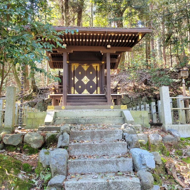 f:id:atoriatoriatori:20240430105824j:image