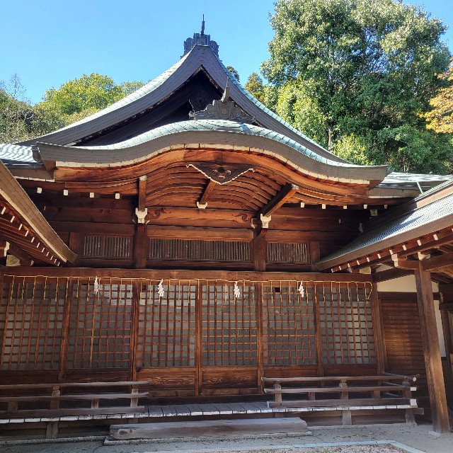 f:id:atoriatoriatori:20240430110257j:image